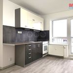 Rent 1 bedroom apartment of 29 m² in Milovice