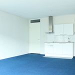 Rent 1 bedroom apartment of 37 m² in 's-Gravenhage