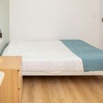 Rent a room in Zaragoza