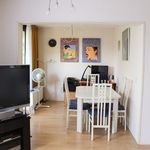 Rent 1 bedroom house of 66 m² in Den Haag