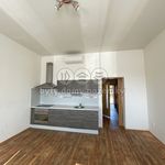 Rent 1 bedroom apartment of 52 m² in Žatec