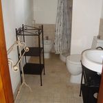Rent 1 bedroom apartment of 50 m² in Pontedera