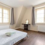 Rent 1 bedroom house of 616 m² in Chomutov