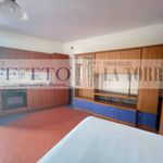 Rent 1 bedroom apartment of 30 m² in Alessandria