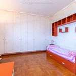 Affitto 15 camera appartamento di 526 m² in Pino Torinese