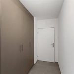 Rent 3 bedroom apartment of 94 m² in Arbedo-Castione