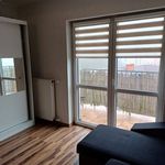 Rent 1 bedroom apartment of 30 m² in Łubowo