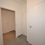 Rent 2 bedroom apartment in Overpelt