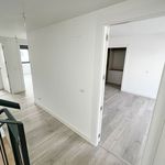 Rent 1 bedroom house in Alcalá de Henares