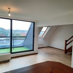 Huur 3 slaapkamer appartement van 33 m² in Namur