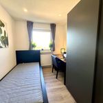 Rent a room of 88 m² in München