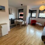 Rent 1 bedroom apartment of 36 m² in Bielawa