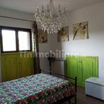 Rent 5 bedroom house of 452 m² in Capalbio