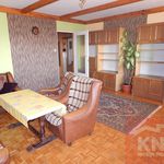 Rent 3 bedroom apartment of 61 m² in Bełchatów