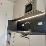 Rent 3 bedroom apartment of 65 m² in Zlin