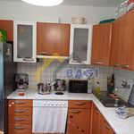 Rent 4 bedroom apartment of 110 m² in Donji Desinec