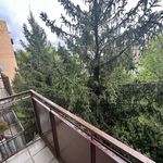 Rent 2 bedroom apartment of 48 m² in Nysa