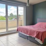 Rent 2 bedroom apartment of 118 m² in Beringen