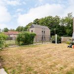 Rent 3 bedroom house of 140 m² in Lotenhulle