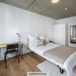 Rent a room of 57 m² in berlin