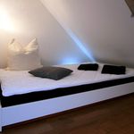 Miete 1 Schlafzimmer wohnung von 45 m² in Bonn