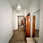 Affitto 3 camera appartamento di 100 m² in Venezia