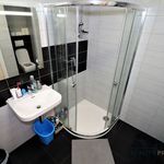 Rent 1 bedroom apartment of 48 m² in Břeclav