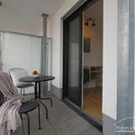 Miete 1 Schlafzimmer wohnung von 29 m² in Bonn