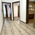 Rent 3 bedroom apartment of 95 m² in Debrecen