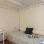 Rent 3 bedroom apartment of 100 m² in Firenze
