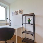 Miete 2 Schlafzimmer wohnung von 50 m² in Gelsenkirchen