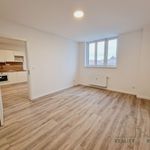 Rent 3 bedroom apartment of 107 m² in Brno