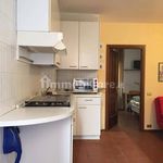 Rent 2 bedroom apartment of 50 m² in Pavia