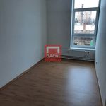 Rent 3 bedroom apartment of 54 m² in Šternberk