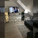 Rent 1 bedroom apartment of 71 m² in City of Zagreb
