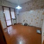 Rent 5 bedroom apartment of 240 m² in Pescara