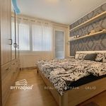 Rent 3 bedroom apartment of 76 m² in Plzeň