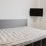 Rent 8 bedroom apartment in Dublin