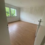 Rent 3 bedroom apartment of 63 m² in Duisburg