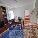 Rent 2 bedroom apartment of 50 m² in Padua