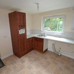 Rent 5 bedroom student apartment in Derby