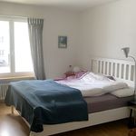 Miete 2 Schlafzimmer wohnung in Winterthur