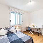 Affitto 5 camera appartamento in Padova