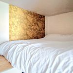 Rent 1 bedroom apartment of 15 m² in Roubaix