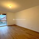 Rent 1 bedroom apartment in Soufflenheim