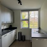 Rent a room of 97 m² in Leersum
