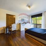 Affitto 5 camera casa di 400 m² in Roma