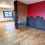 Rent 1 bedroom apartment in Thonon-les-Bains