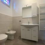 Rent 1 bedroom apartment of 50 m² in Vendone