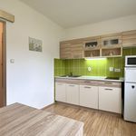 Rent 1 bedroom apartment of 29 m² in Lipno nad Vltavou